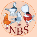 Clubshows, districtshows en medewerking SNN