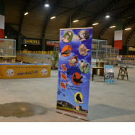 Wat een show! Iedereen hartelijk dank