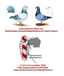 Internationale show NSP&Giant