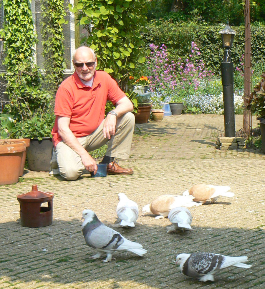 Klaas Nicolaij met duiven