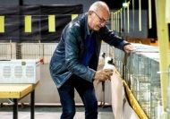 Aanwijzingen voor het inkooien