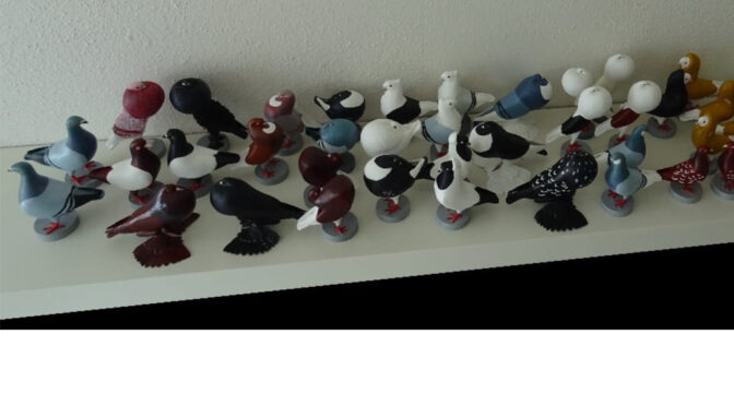 SNN – Themashow Nederlandse Rassen